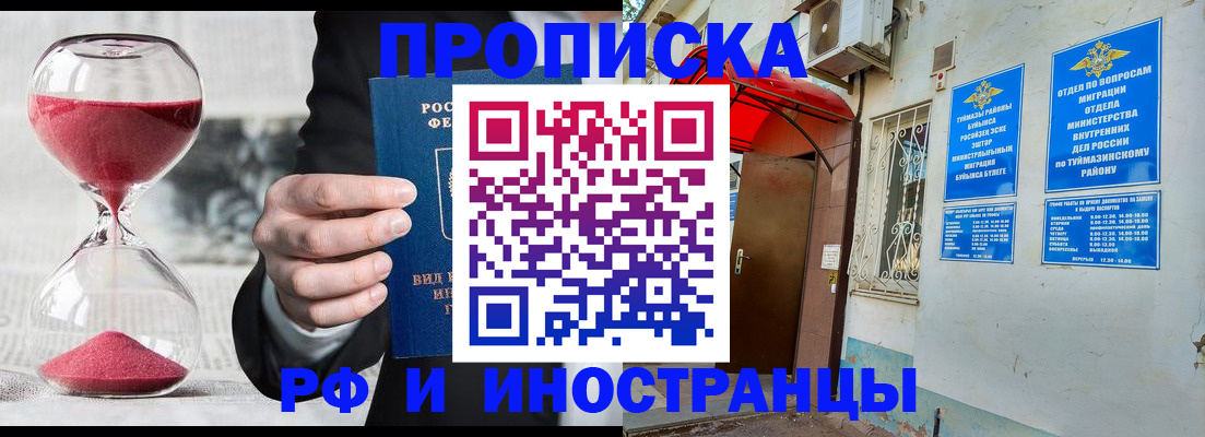 прописка 2025 в Краснознаменске